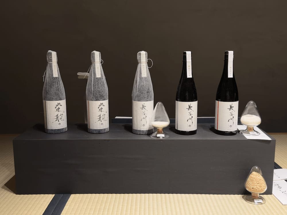 Lineup of five Hasegawa Eiga sake bottles on display, with small samples of rice in front of each bottle.