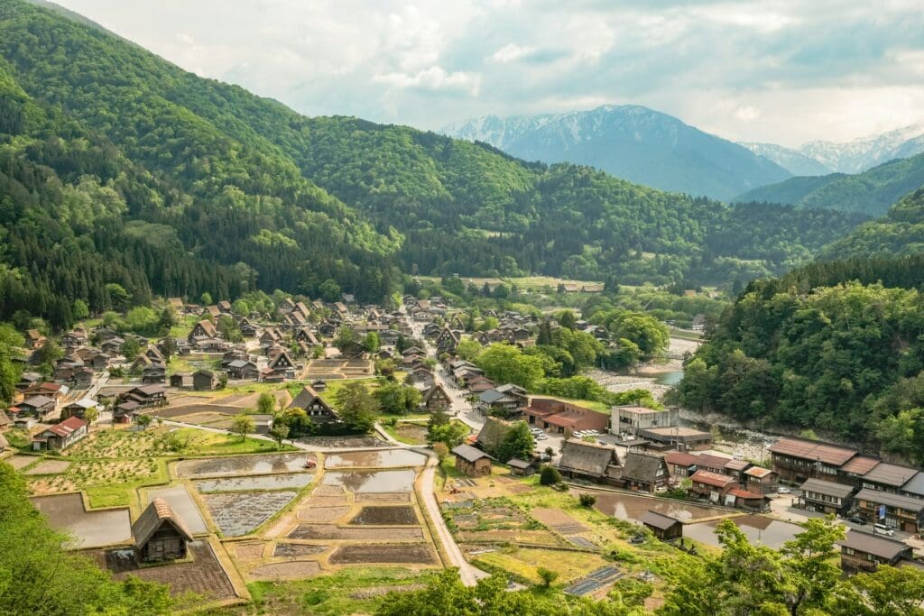 Aerial view of traditional gassho-zukuri thatched farmhouses and rice paddies in Shirakawa-go village surrounded by forested mountains