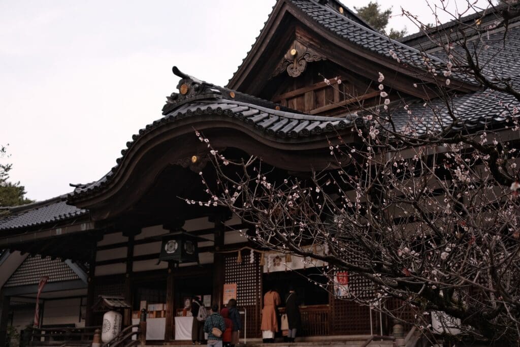 Oyama Jinja Shrine in Kanazawa with early blossoms beside the wooden worship hall