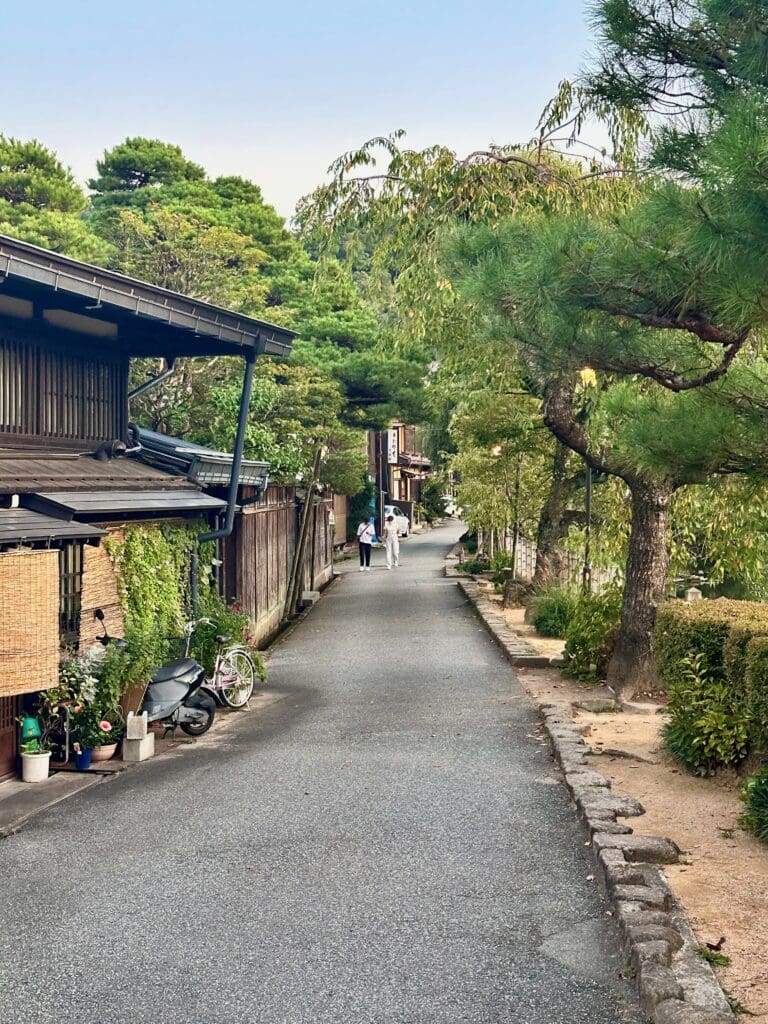 Street lined with wooden buildings and pine trees in Takayama, Japan