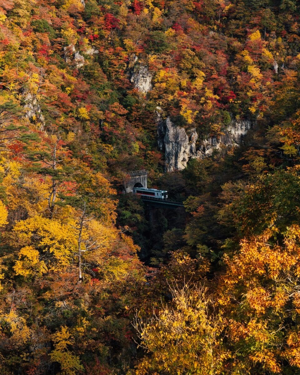 Autumn train crossing Naruko Gorge in Miyagi