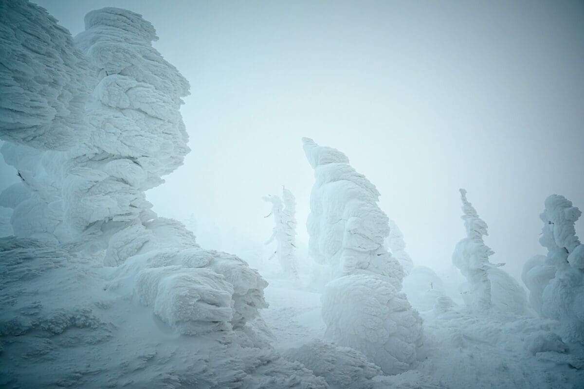 Snow monsters at Zao Onsen