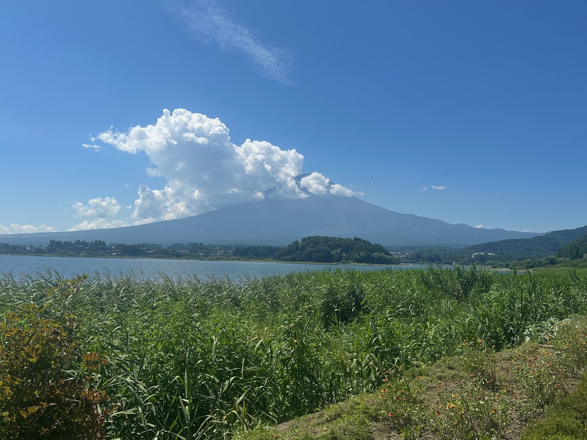 View of Mount Fuji from a grassy lakeside shore at Lake Kawaguchiko with clouds drifting over the mountain