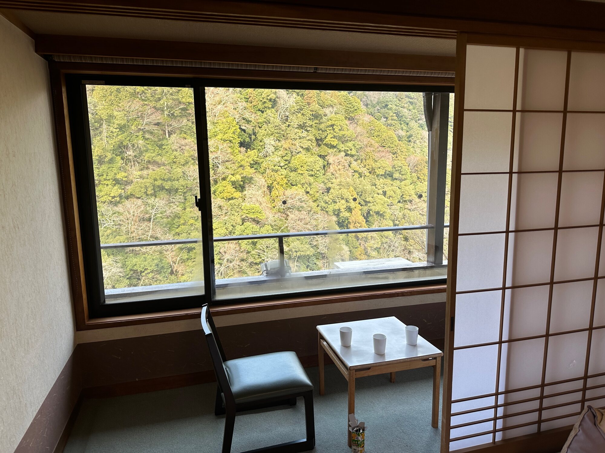Ryokan room balcony with a table and chairs looking out onto a lush green forest