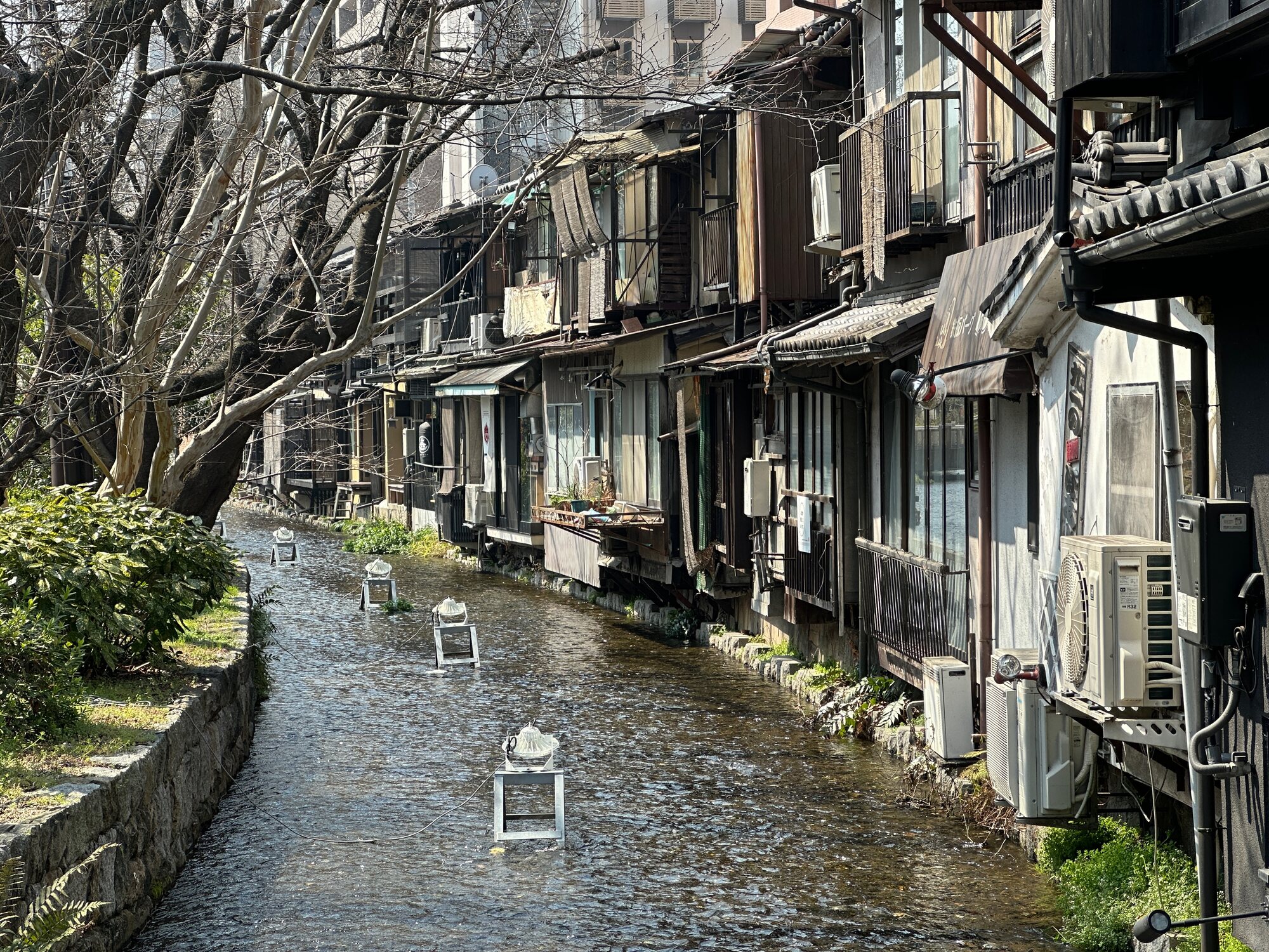 Kyoto Shirakawa Canal lined with traditional-style buildings and bare trees along a narrow water channel
